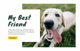 Dog Care Techniques - Easy Website Design