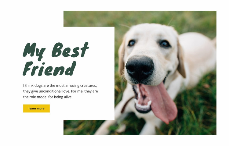 Dog care techniques Website Mockup
