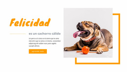 Constructor Joomla Para Felicidad Cálida Cachorro