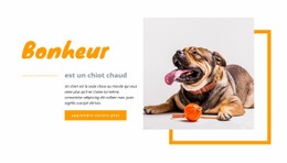 Chiot Chaud Bonheur - HTML Website Creator