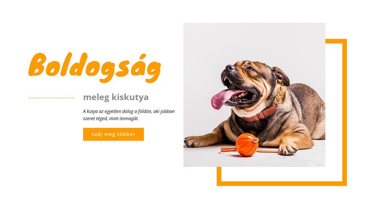 Boldog kiskutya HTML Sablon