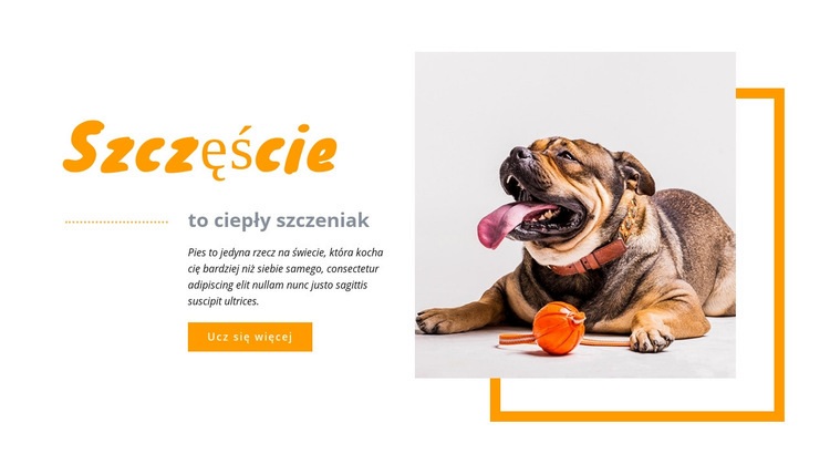 Szczeniak ciepły Szablon HTML5