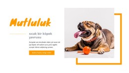 Mutluluk Sıcak Köpek Yavrusu