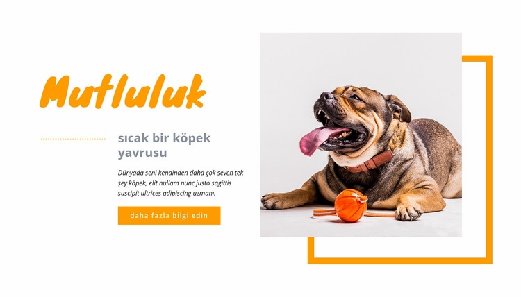 Mutluluk sıcak köpek yavrusu Web Sitesi Mockup'ı