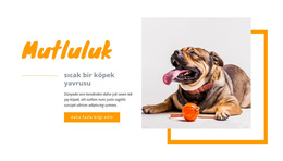 Mutluluk Sıcak Köpek Yavrusu