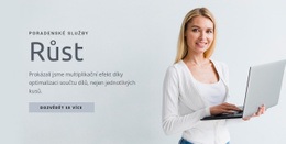 Víceúčelový Motiv WordPress Pro Budujeme Silné Vedoucí Týmy