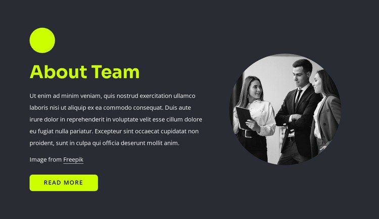 Web professionals CSS Template