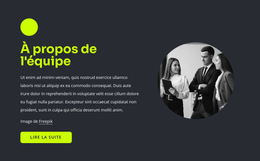 Professionnels Du Web - Modèle De Site Web Professionnel Premium