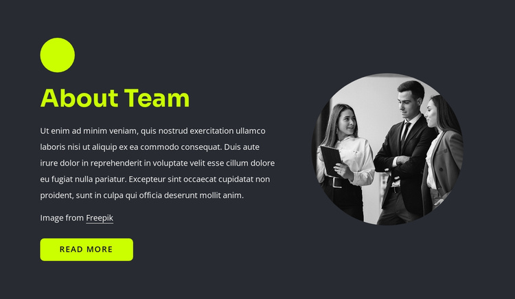 Web professionals Joomla Template