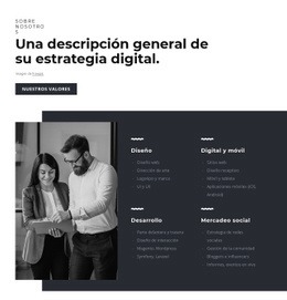 Desarrollar Estrategias Innovadoras - Diseño Web Polivalente