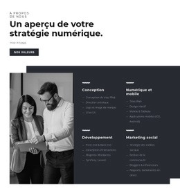 Développer Des Stratégies Innovantes - Conception Web Polyvalente