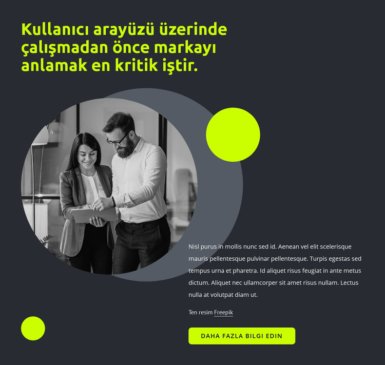 Kullanıcı arayüzü tasarımı WordPress Teması