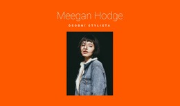 Profesionální Stylista