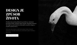 Jak Je Kolem Krásně - Krásná Šablona Kolekce Barev