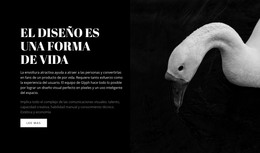 Sitio Web HTML Para Que Hermoso Hay Alrededor