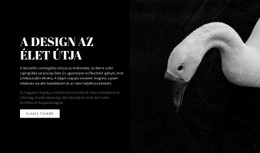 Milyen Szép Körül - Ingyenes Sablonok