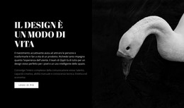 Quanto È Bello In Giro - Design Del Sito Web Definitivo