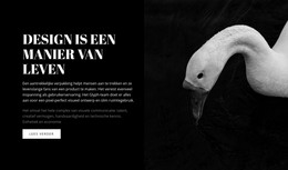 Hoe Mooi Is Er In De Buurt - Inspiratie Voor Website-Ontwerp