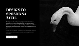 Jakie To Piękne Witryna Coachingowa