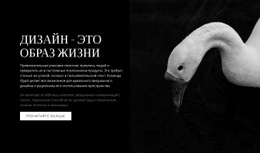 Конструктор Страниц Joomla Для Как Красиво Вокруг