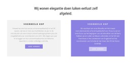 Twee Veelkleurige Kolommen CSS-Websitesjabloon