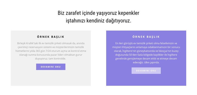 İki çok renkli sütun Html Web Sitesi Oluşturucu