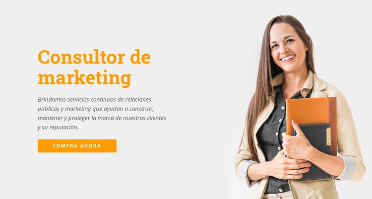 Consultor de marketing Plantilla de sitio web