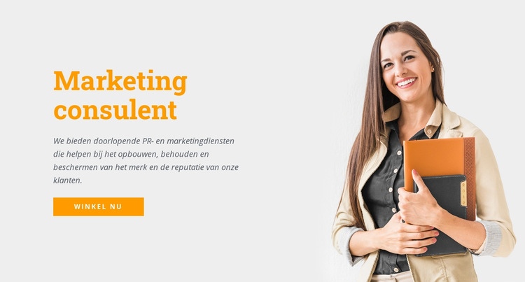 Marketing consulent Website ontwerp