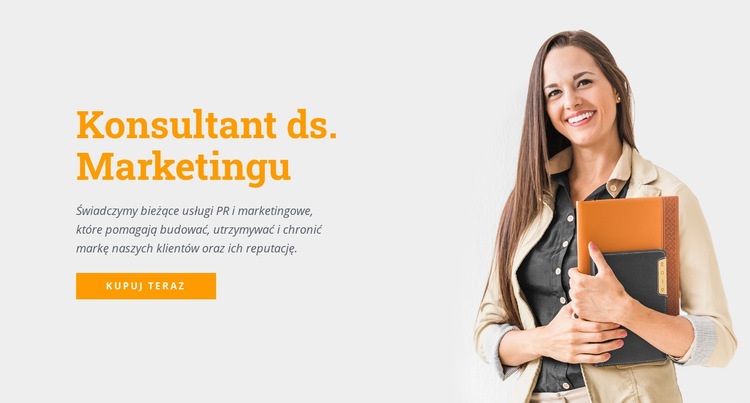 Konsultant ds. Marketingu Motyw WordPress