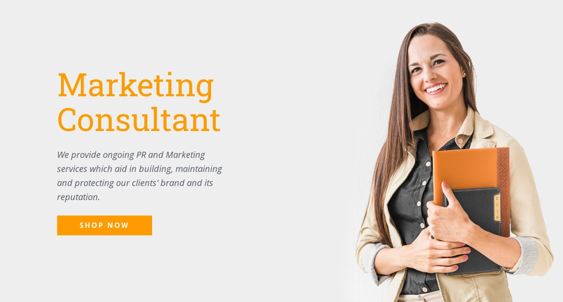 Marketing consultant Web Page Design