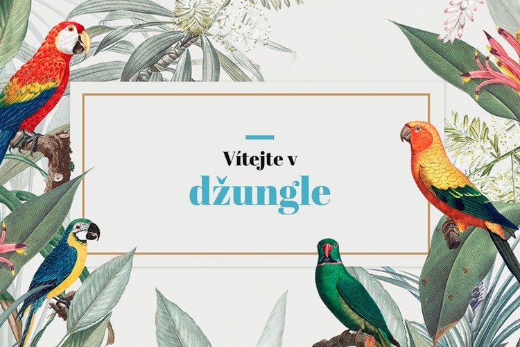 Vítejte v džungli Webový design