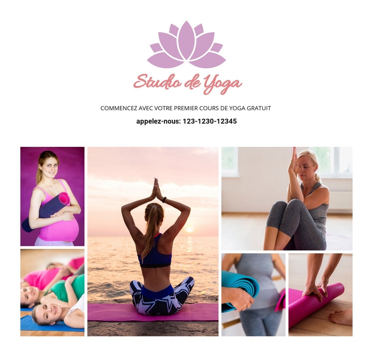 La pratique des asanas Conception de site Web