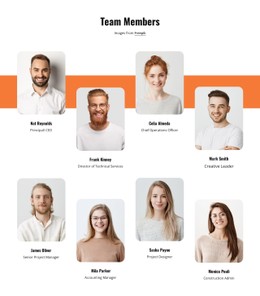 CSS Layout For The Firm Is Its People, An Amazing Array Of Talent