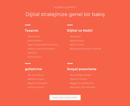 Tasarım, Geliştirme, Pazarlama - Sürükle Ve Bırak WordPress Teması