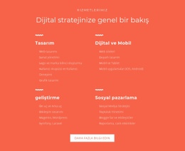 Tasarım, Geliştirme, Pazarlama