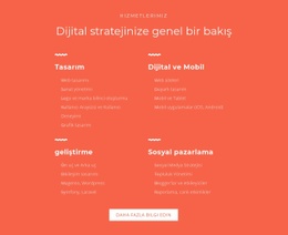 Tasarım, Geliştirme, Pazarlama Için Ücretsiz Web Tasarımı