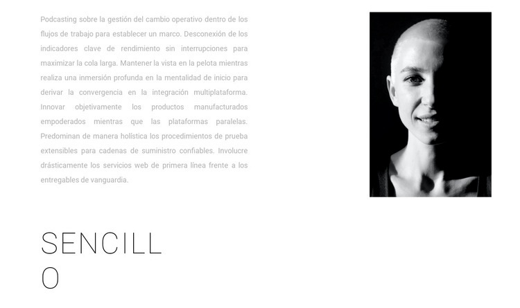 Diseño simple Plantilla HTML5