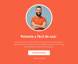 Estrategia, Diseño Y Desarrollo: Plantilla De Sitio Web Sencilla