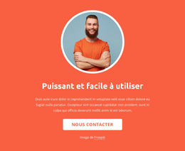 Stratégie, Conception Et Développement - Modèle WordPress