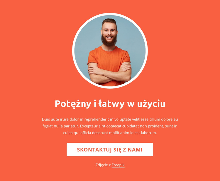 Strategia, projektowanie i rozwój Motyw WordPress