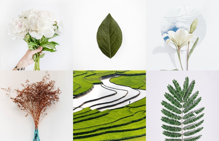 Galerie mit Pflanzen Website design