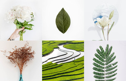 Galerie Mit Pflanzen – Fertiges Website-Design