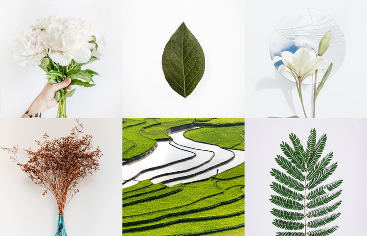 Gallery with plants Homepage Design