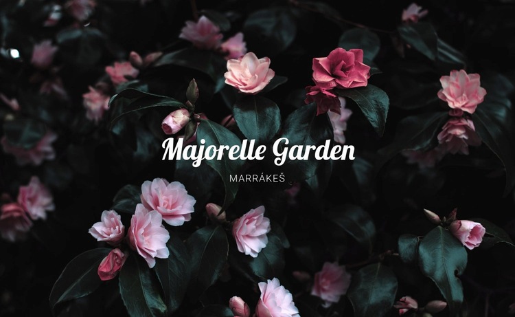 Zahrada Majorelle Webový design