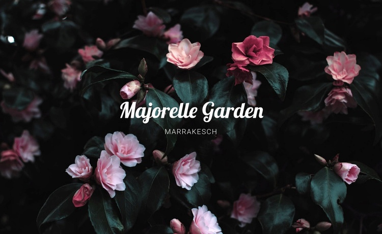 Majorelle Garten Landing Page
