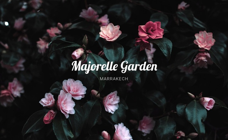 Majorelle garden Elementor Template Alternative