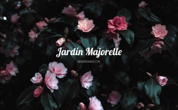 Jardín Majorelle - Diseño De Una Página