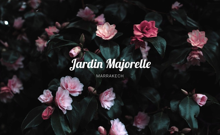 Jardin Majorelle Maquette de site Web
