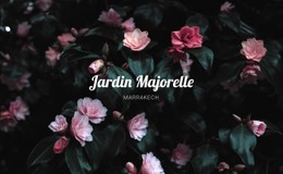 Page Web Pour Jardin Majorelle