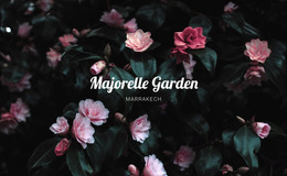 Majorelle Garden - Site Template